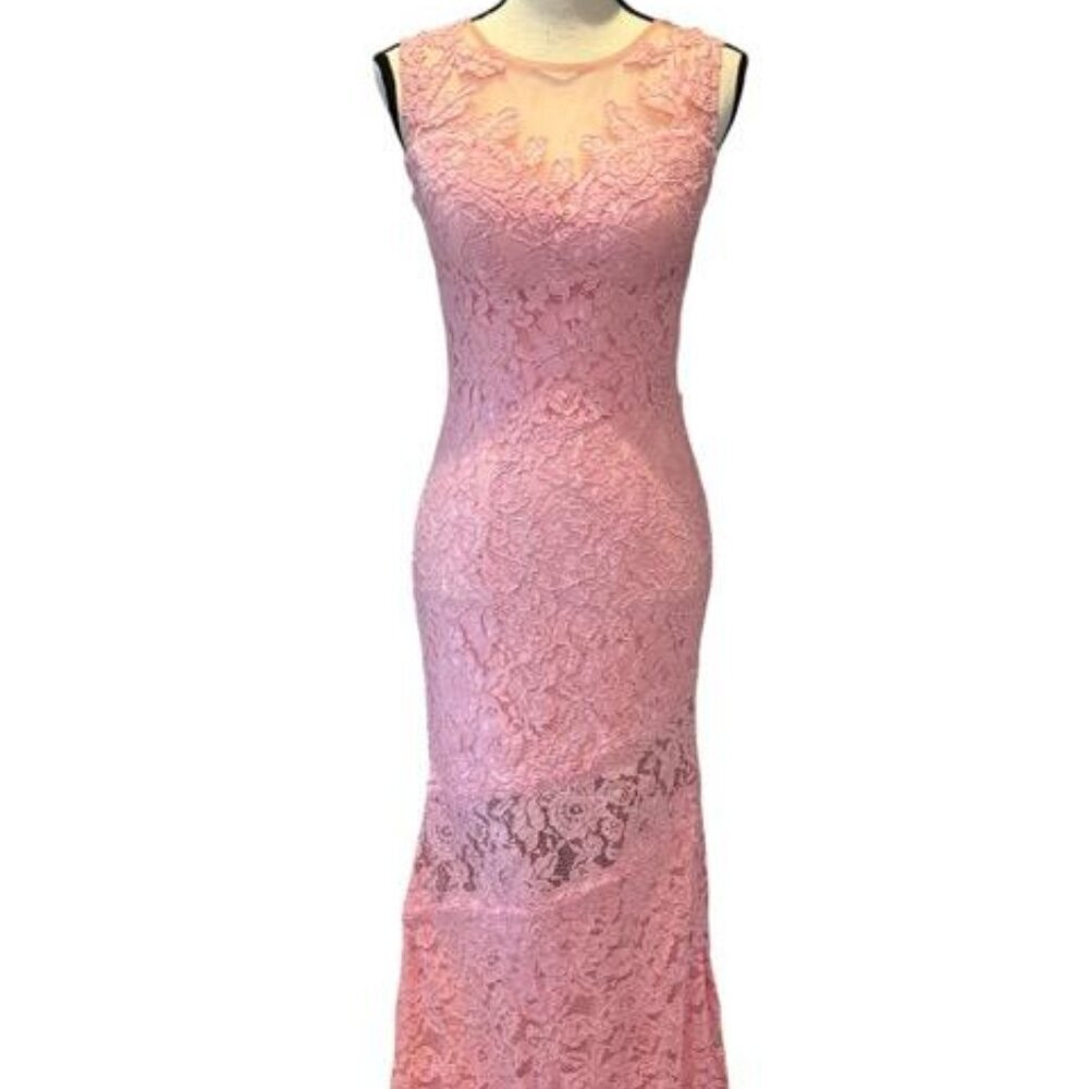 Nina Canacci Pink Lace Illusion Open Back Dress